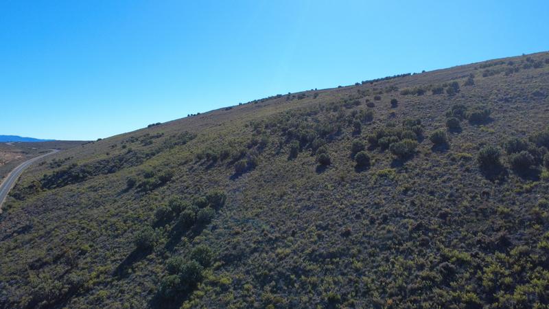 0 Bedroom Property for Sale in Montagu Rural Western Cape